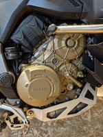 Ducati Multistrada V4 S - 2021 TAGLIANDI UFFICIALI DUCATI