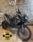 Triumph Tiger XCX 800 1015