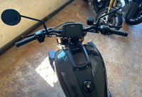 INDIAN FTR R CARBON