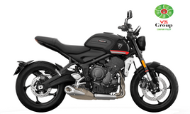 Triumph Trident 660 - New